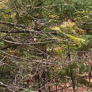 Meet your Posher, Jared